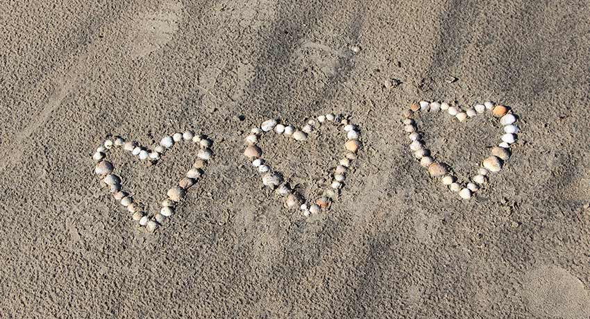 Snäckor formade som tre hjärtan på stranden i Halmstad