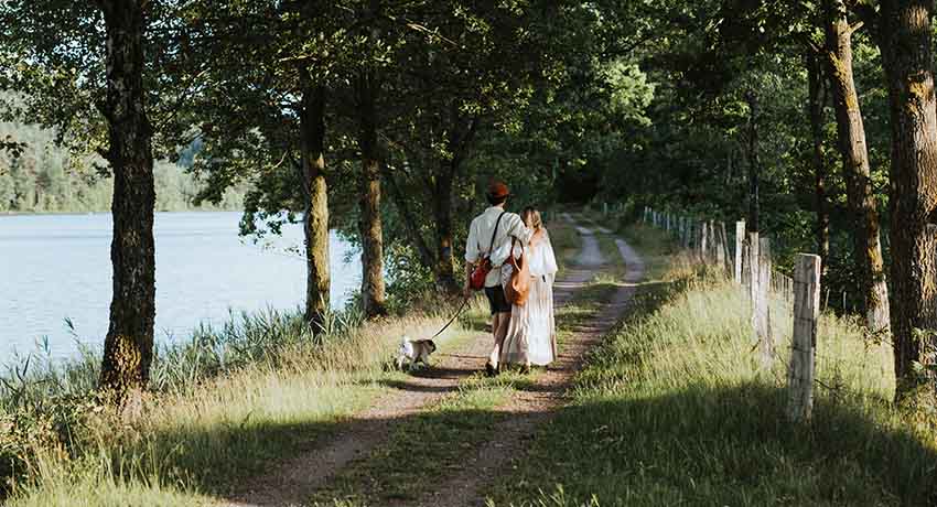Par går ved søen